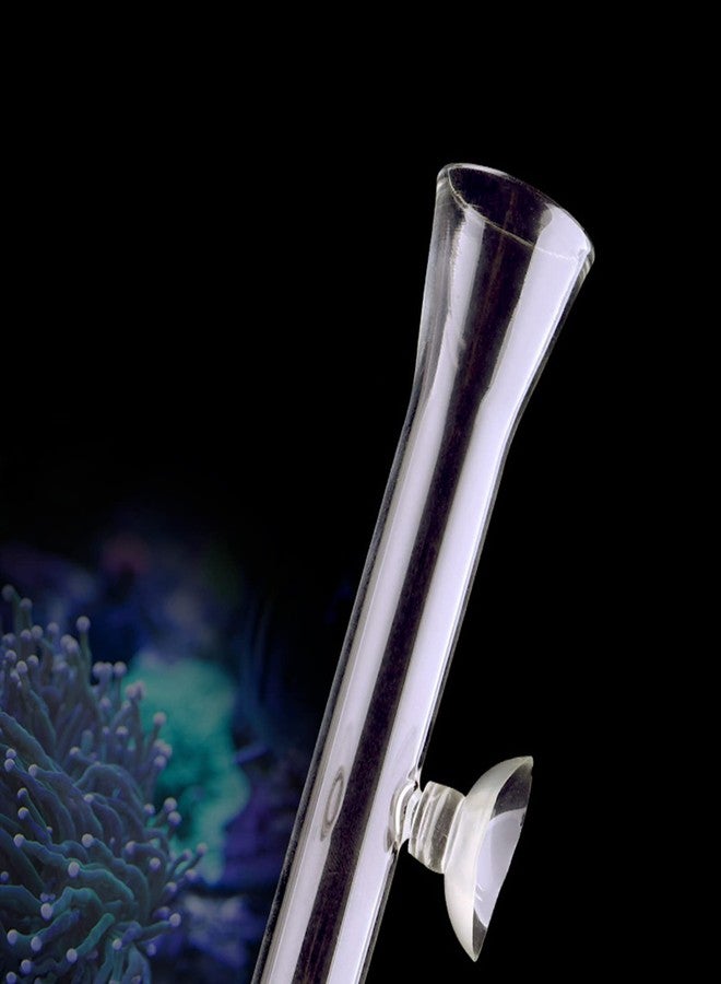 Bilindasly 200mm Glass Aquarium Shrimp Feeding Tube Aquarium Clear Fish Food Feeder Tube for Fish Tank with 2pcs Suction Cups - Image 3
